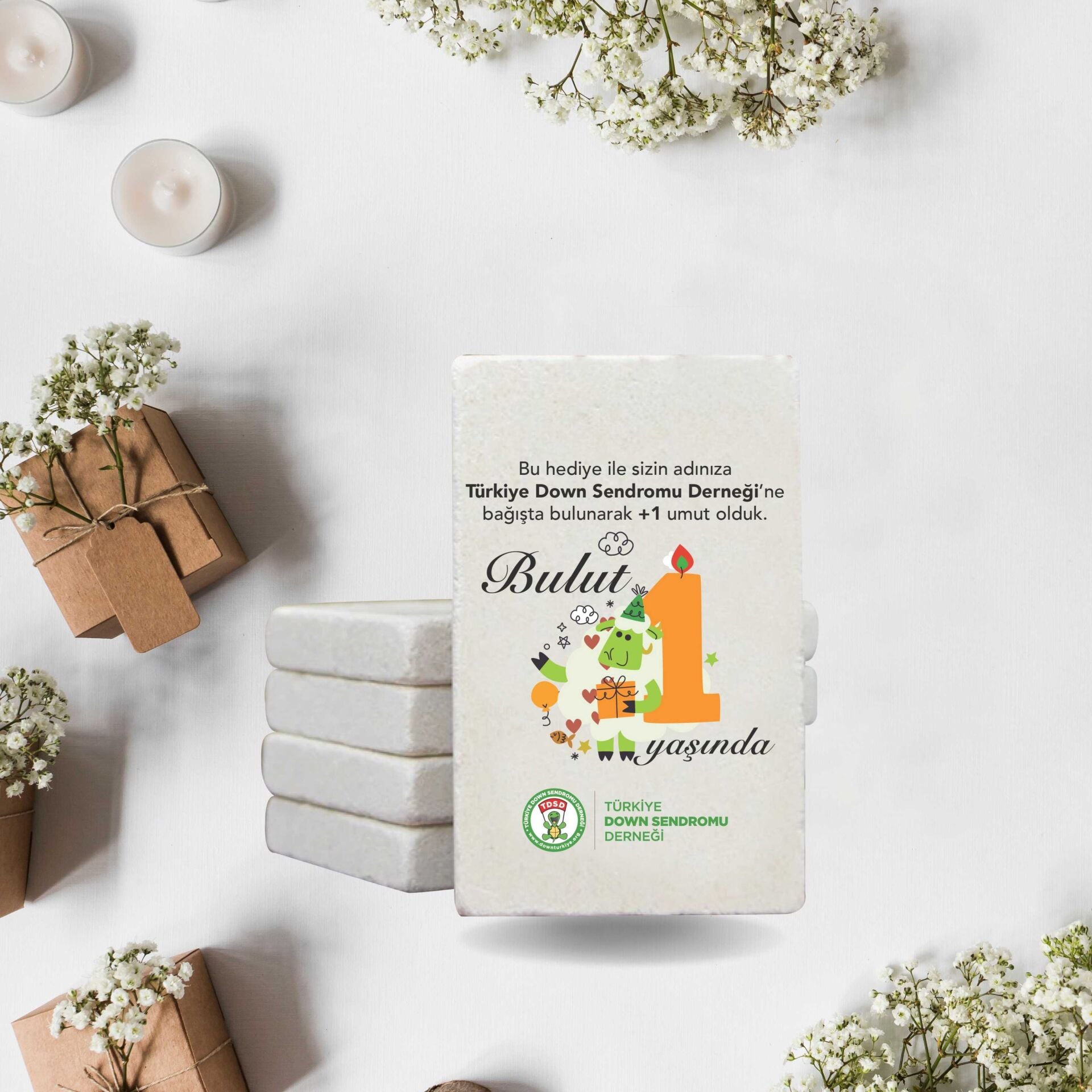 Taş Magnet, 1 Yaş - ÇT1