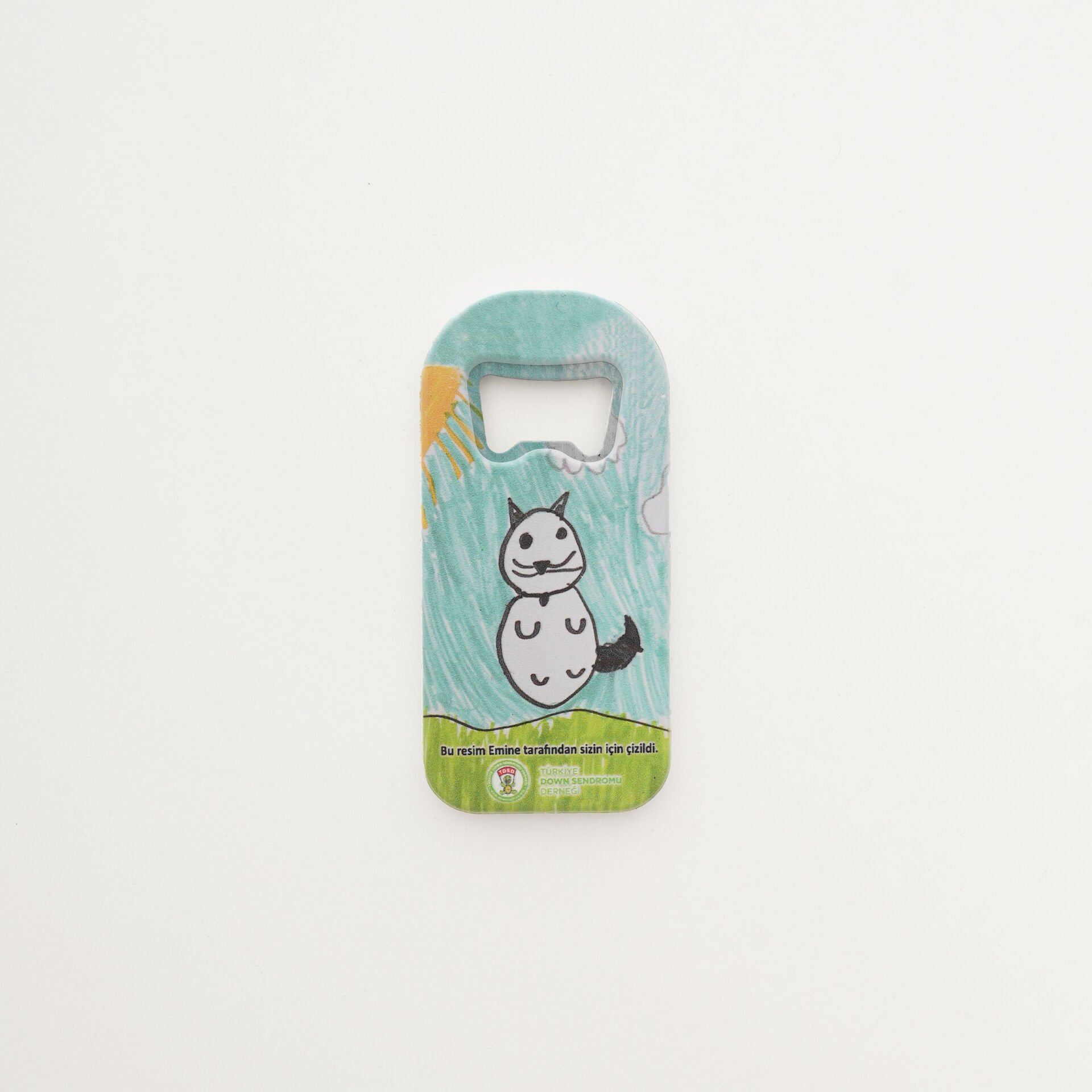 Kedi Açacak Magnet