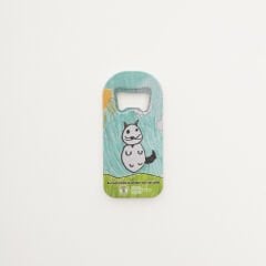 Kedi Açacak Magnet